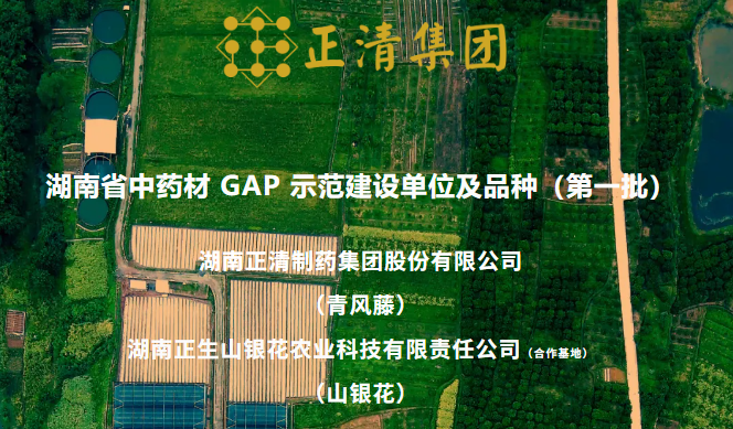 湖南省首批中药材GAP示范建设单位公布 正清集团两项入选（青风藤、山银花）